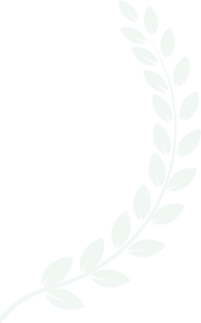 apexdigitalmarket.com