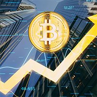 apexdigitalmarket.com